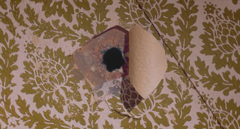 The hole in the damask wallpaper, still from ANTi-SOCiAL